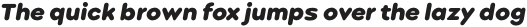 Point Soft Black Italic otf (900)