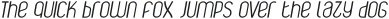 Fischel Light Italic otf (300)
