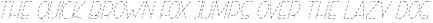Right Hand Light Italic ttf (300)