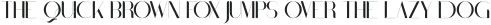 Black Gold VP Display Rough otf (900)