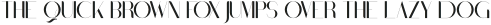 Black Gold VP Display otf (900)