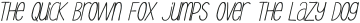 Dreamy Land Light Oblique otf (300)