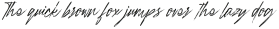 Rough Italic otf (400)