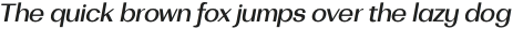 Bodrum Sans 15 Medium Italic otf (500)