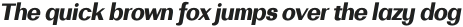 Bodrum Sans 18 Heavy Italic otf (800)