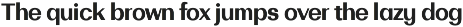 Bodrum Sans preview