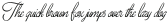 Breakfast Script Light otf (300)