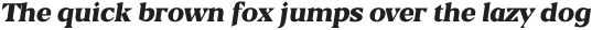 Blaak Black Black Italic ttf (900)