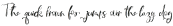 Rustic Script Script otf (400)