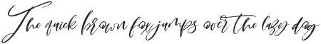 Montenegro Script Regular otf (400)