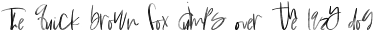 Washington SVG Regular otf (400)