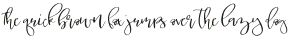 Joykom otf (400)