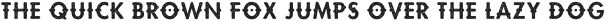 Bandit Bight Rough Texture otf (400)