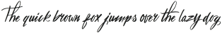 Nastyliss Script otf (400)