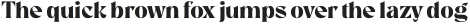 Room 205 otf (400)