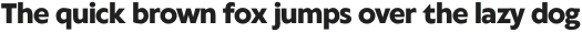 Klein Text Extrabold otf (700)