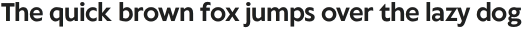 Klein Text otf (700)