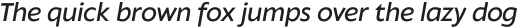 Klein Text Medium Italic otf (500)