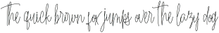 Shelly Signature otf (400)