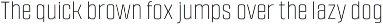 Burpee Sans Condensed Typeface preview