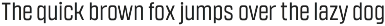 Burpee Sans Condensed Typeface preview