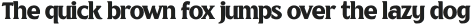 Unblocker Regular otf (400)