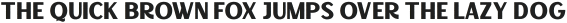 Capitals Sans 3 Rough otf (400)