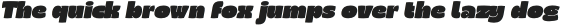 Rono Black Italic otf (900) Sample