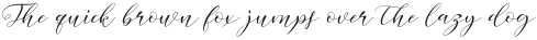 Night Alongs script Regular otf (400)