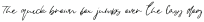 New Font otf (400)