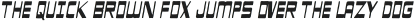 WB Blazed Slant otf (400)