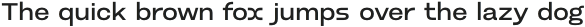 Burt Medium Wide otf (500)