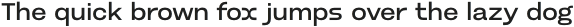 Burt Medium otf (500)