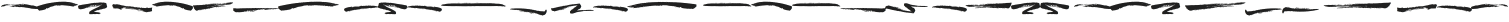 Never Brush Swash ttf (400)