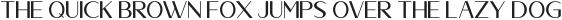 Dellmonte Sans otf (400)