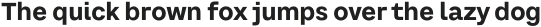 CA SaygonText Extrabold Italic otf (700)