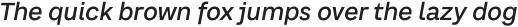 CA SaygonText Light Italic otf (300)
