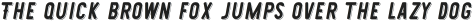 Westmorland Oblique Shade otf (400)