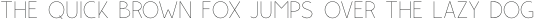 Rolves Light otf (300)