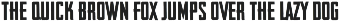 Vintage Fonts Collection - 18 fonts preview