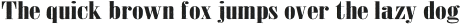 Jerome Two Wide otf (400)