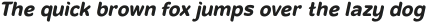 Banda Niera Bold Italic otf (700)