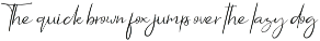 Feeling // an Elegant Script preview