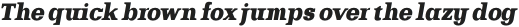 Bodrum Slab 19 Black Italic otf (900)