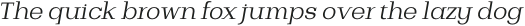 Bodrum Slab 13 Light Italic otf (300)