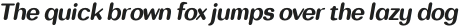 Bodrum Soft 17 Extra Bold Italic otf (700)