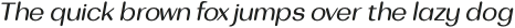 Bodrum Soft 14 Regular Italic otf (400)