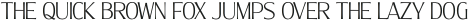 Molly Serif C Thin otf (100)