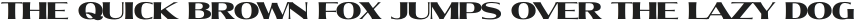 Molly Serif E Black otf (900)
