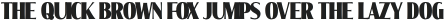 Molly Serif XC Black otf (900)